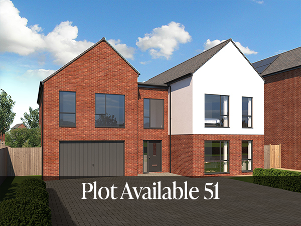 Plot 51